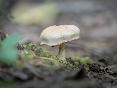 DSC_0724.jpg