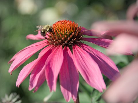 DSC_1592.jpg